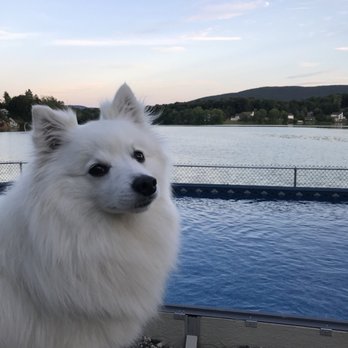 Royal Pools & Spas - Hot Tub & Pool Near Me - New Hampton, New York