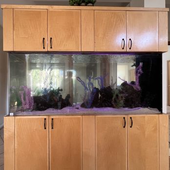 MK Aquarium Services - Aquarium Services Near Me - Chino, California