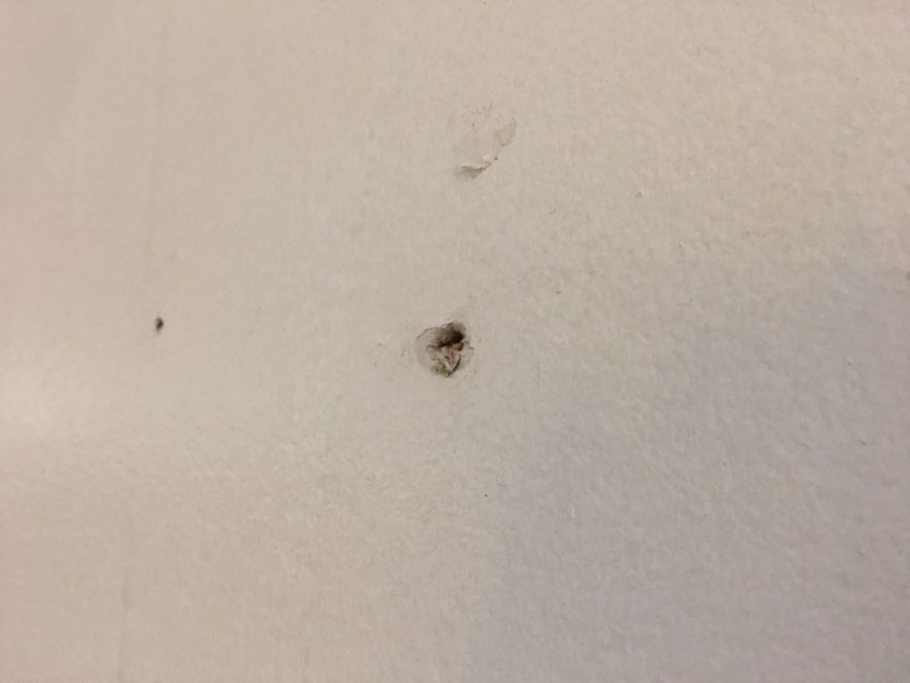 Slide of Al's Plumbing