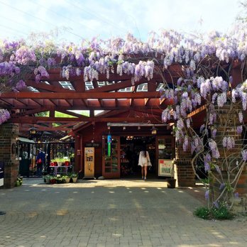 Descanso Gardens - Gift shop surrounded with light Lilacs. Gorgeous. - Botanical Gardens Near Me - La Canada Flintridge, California Descanso Gardens - Gift shop surrounded with light Lilacs. Gorgeous. - Botanical Gardens Near Me - La Canada Flintridge, California
