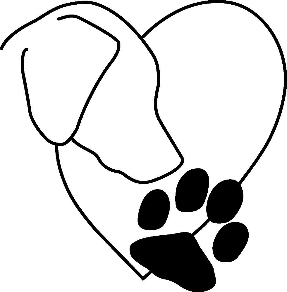 PAWS TO HEART DOG GROOMING Updated October 2024 10 Photos 1337 S