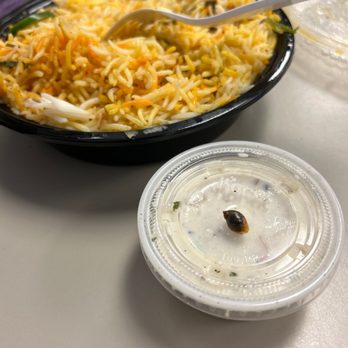Zareen's - Baby snail was in my food - Halal Near Me - Mountain View, California Zareen's - Baby snail was in my food - Halal Near Me - Mountain View, California