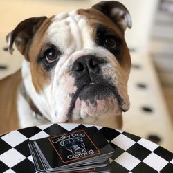 Lucky Dog On The Ave - Squish can help you purchase a gift card for your loved ones! Call the shop to speak to him directly 206-632-0076