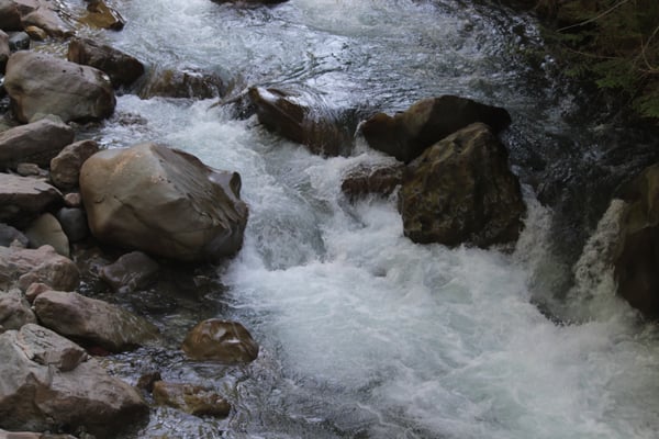 Photo of Nooksack Falls - Glacier, WA, US. Start of the falls.