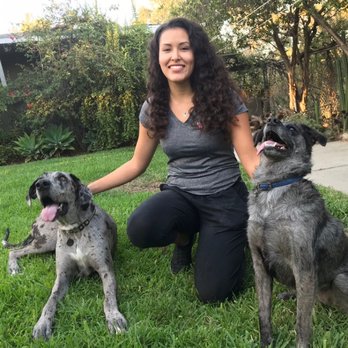 LA Dog Training Solutions - Me and the gal pals - Pet Training Near Me LA Dog Training Solutions - Me and the gal pals - Pet Training Near Me