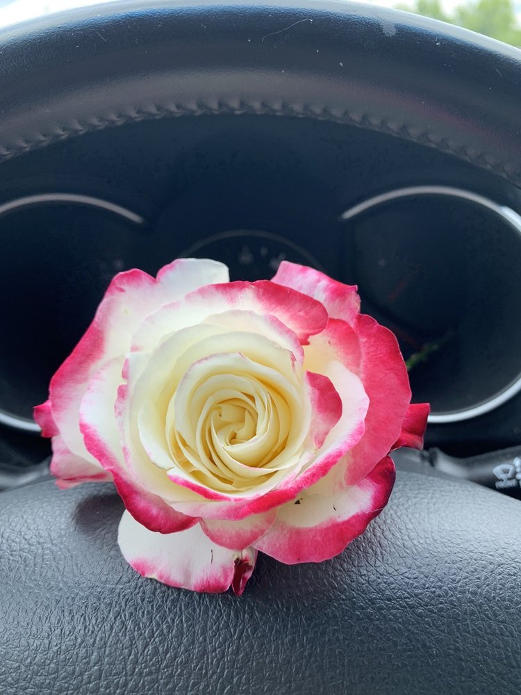 KING’S GARDENS - Updated May 2025 - 12 Photos & 13 Reviews - 4560 ...