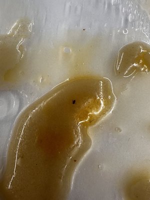 MALA NOODLEs by null