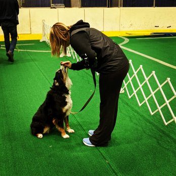 Dogletics - Outside the ring training. - Dog Walkers Near Me