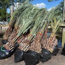 Hughes & Hughes Nursery