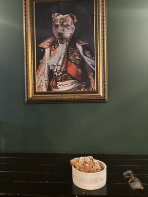 Ludlow Charlingtons Coffee Shop by null