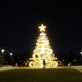 Christmas Tree at Aquatic Center - The Kiss - Public Art Near Me - Elk Grove, California Christmas Tree at Aquatic Center - The Kiss - Public Art Near Me - Elk Grove, California