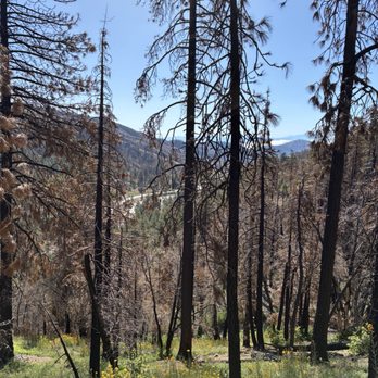Blue Ridge Trail - Hiking Near Me - Wrightwood, California