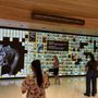 Photo of National Geographic Museum of Exploration