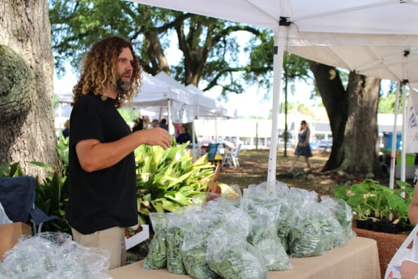 Lafayette Farmers and Artisan Market at the Horse Farm by null