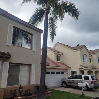Orange County Tree Services - Before - Tree Services Near Me Orange County Tree Services - Before - Tree Services Near Me