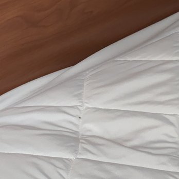 Gold Key Inn - Bed bug - Hotels Near Me - Brady, Texas Gold Key Inn - Bed bug - Hotels Near Me - Brady, Texas
