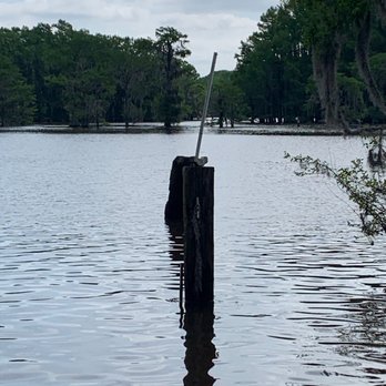 Big Cypress Tours - Just a gorgeous lake! - Boat Tours Near Me - Uncertain, Texas