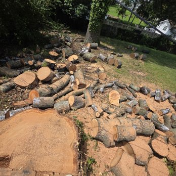 Coreas Tree Services - Tree Services Near Me - Owings Mills, Maryland