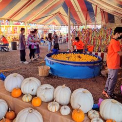 The Pumpkin Factory - Games area