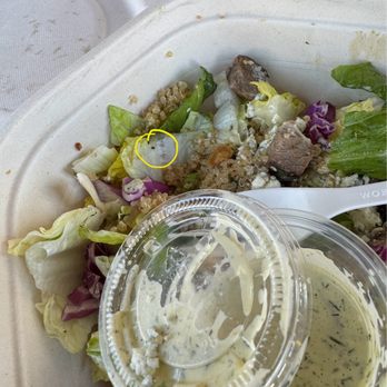 sweetgreen - Healthy Salads, Wraps, and Bowls - Ant on lettuce - Salad Near Me - Denver, Colorado sweetgreen - Healthy Salads, Wraps, and Bowls - Ant on lettuce - Salad Near Me - Denver, Colorado