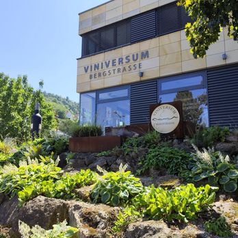 Viniversum Bergstraße - Wine Tasting Classes Near Me - Heppenheim (Bergstraße), HE