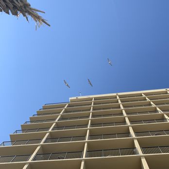 Phoenix All Suites Hotel - View from the pool - Hotels Near Me - Gulf Shores, Alabama Phoenix All Suites Hotel - View from the pool - Hotels Near Me - Gulf Shores, Alabama