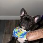 Photo of Ooh La La Pet Spa