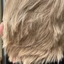 Photo of Great Clips