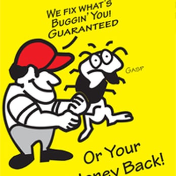 Bug Mechanic Pest Control and Landscape Spraying - Pest Control Near Me - Moorpark, California Bug Mechanic Pest Control and Landscape Spraying - Pest Control Near Me - Moorpark, California