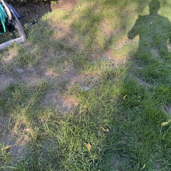 TruGreen Lawn Care - Tree Services Near Me - Albany, New York TruGreen Lawn Care - Tree Services Near Me - Albany, New York