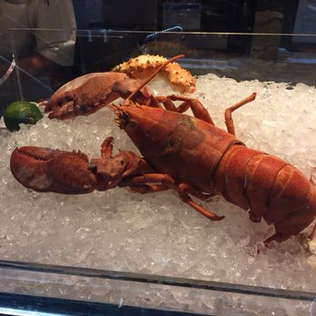 Morimoto - Japanese Near Me - Las Vegas, Nevada