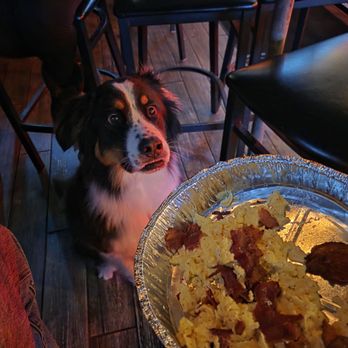 The Shelter Kitchen + Bar - Dog menu (had to ask), happy customer picture! - American Near Me - Mount Pleasant, South Carolina The Shelter Kitchen + Bar - Dog menu (had to ask), happy customer picture! - American Near Me - Mount Pleasant, South Carolina