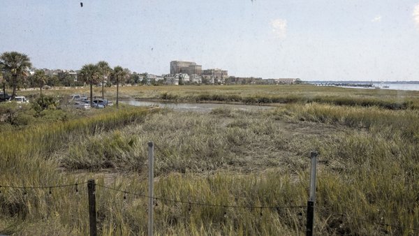 Marina Variety Store Restaurant by null