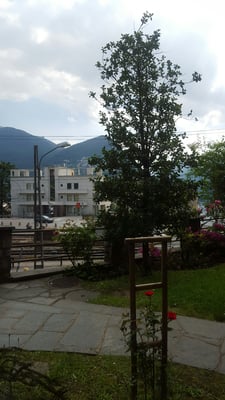 Continental Parkhotel Lugano by null