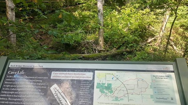 Rock Bridge Memorial State Park by null