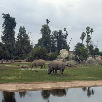 Fresno Chaffee Zoo - Enclosure - Zoos Near Me - Fresno, California Fresno Chaffee Zoo - Enclosure - Zoos Near Me - Fresno, California