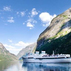 Signal Travel and Tours