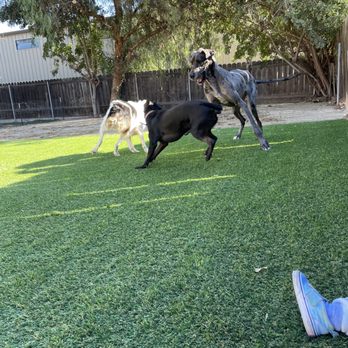 GTP Design & Build - Turf and DG - Landscaping Near Me - Spring Valley, California
