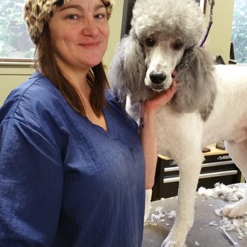Paw Spa - Pet Groomers Near Me - Grass Valley, California