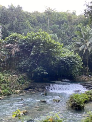 Kawasan Falls by null