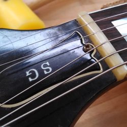 Ramsey Strings - New bone nut