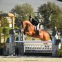 Photo of Jared Beasley Sport Horses
