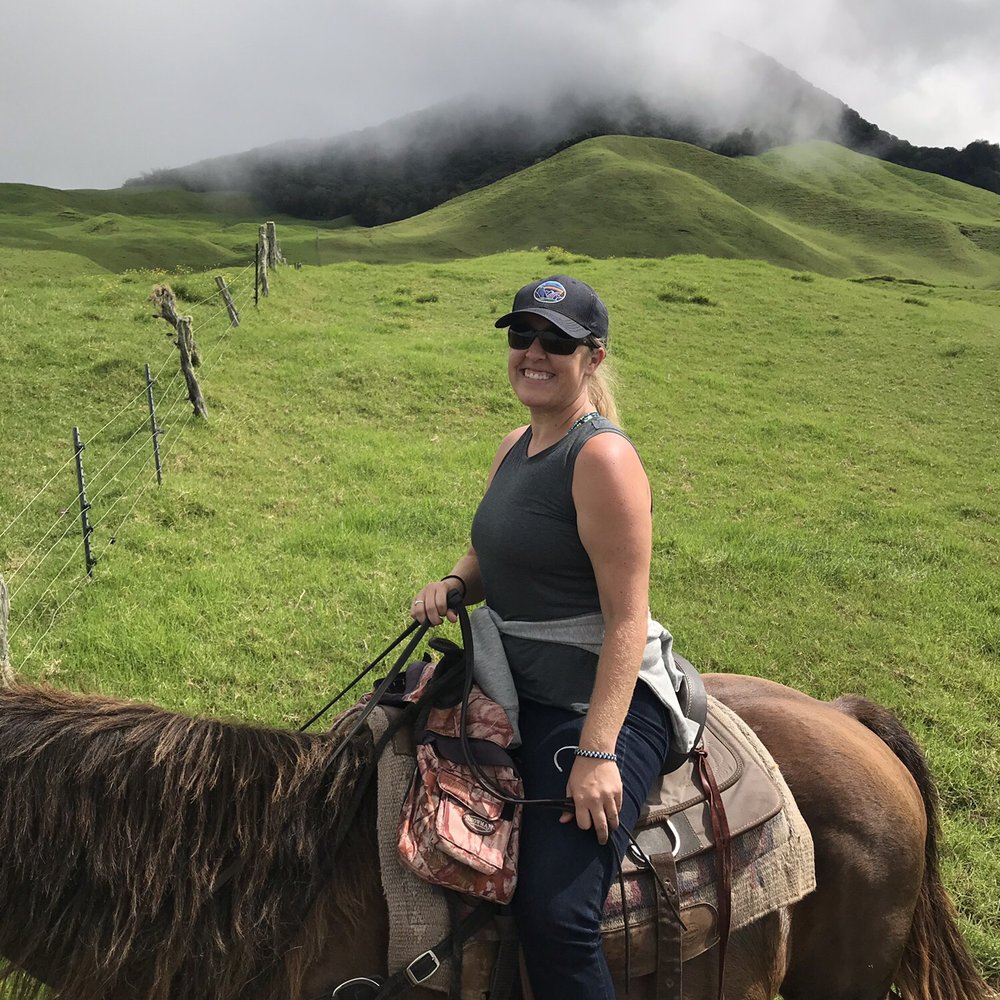Na'alapa Stables - Horseback Riding Near Me - Kamuela, Hawaii Na'alapa Stables - Horseback Riding Near Me - Kamuela, Hawaii