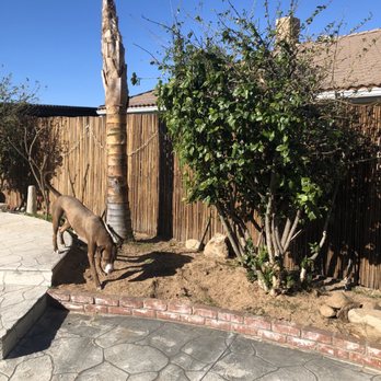 Elenes Tree Service - Tree Services Near Me - Rialto, California