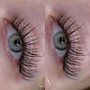 Photo of Lux Lashes