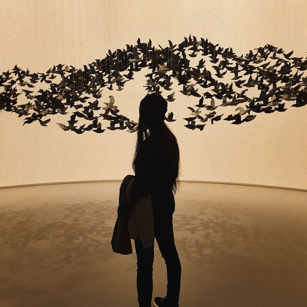 NGV Australia - Art Galleries Near Me - Melbourne, VIC NGV Australia - Art Galleries Near Me - Melbourne, VIC