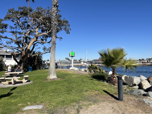Alamitos Park by null