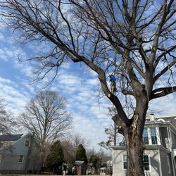 F and C Landscaping