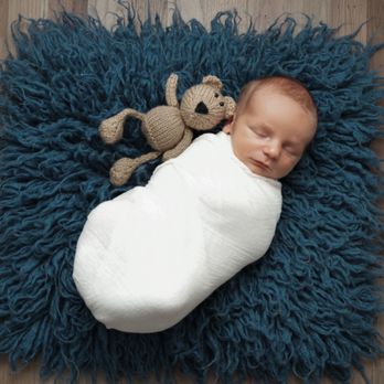 Jenny May Stringer Photography - Pet Photography Near Me