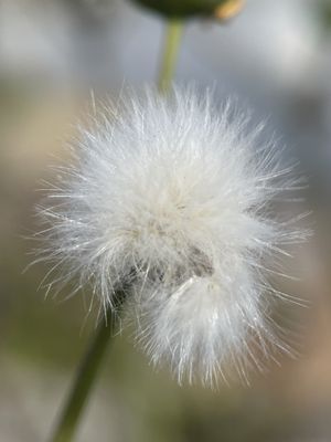 Harry Bridges Memorial Park by null
